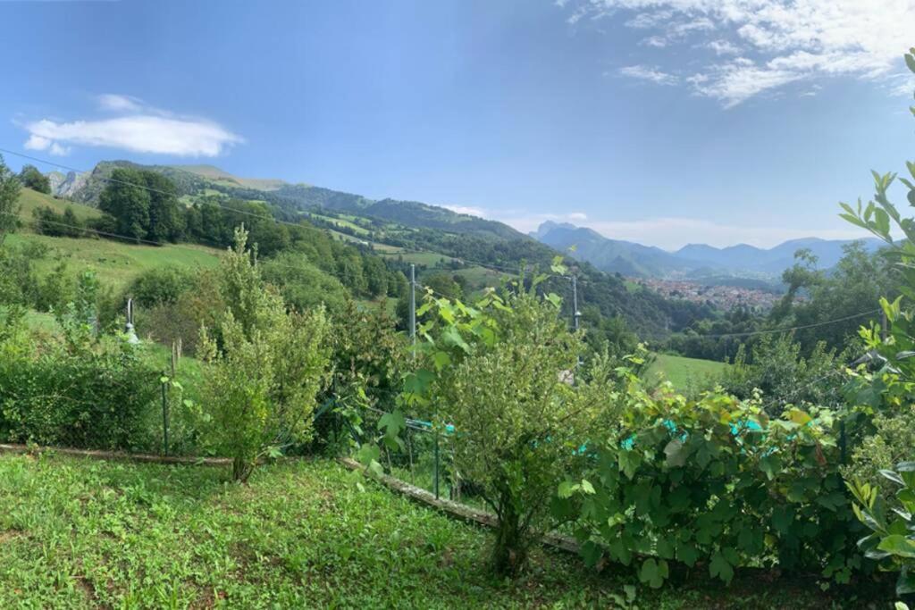 Residenza Fornaro Villa Premolo ภายนอก รูปภาพ